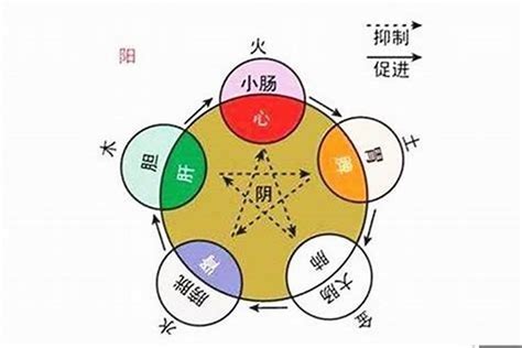 宓五行|宓字的五行属性